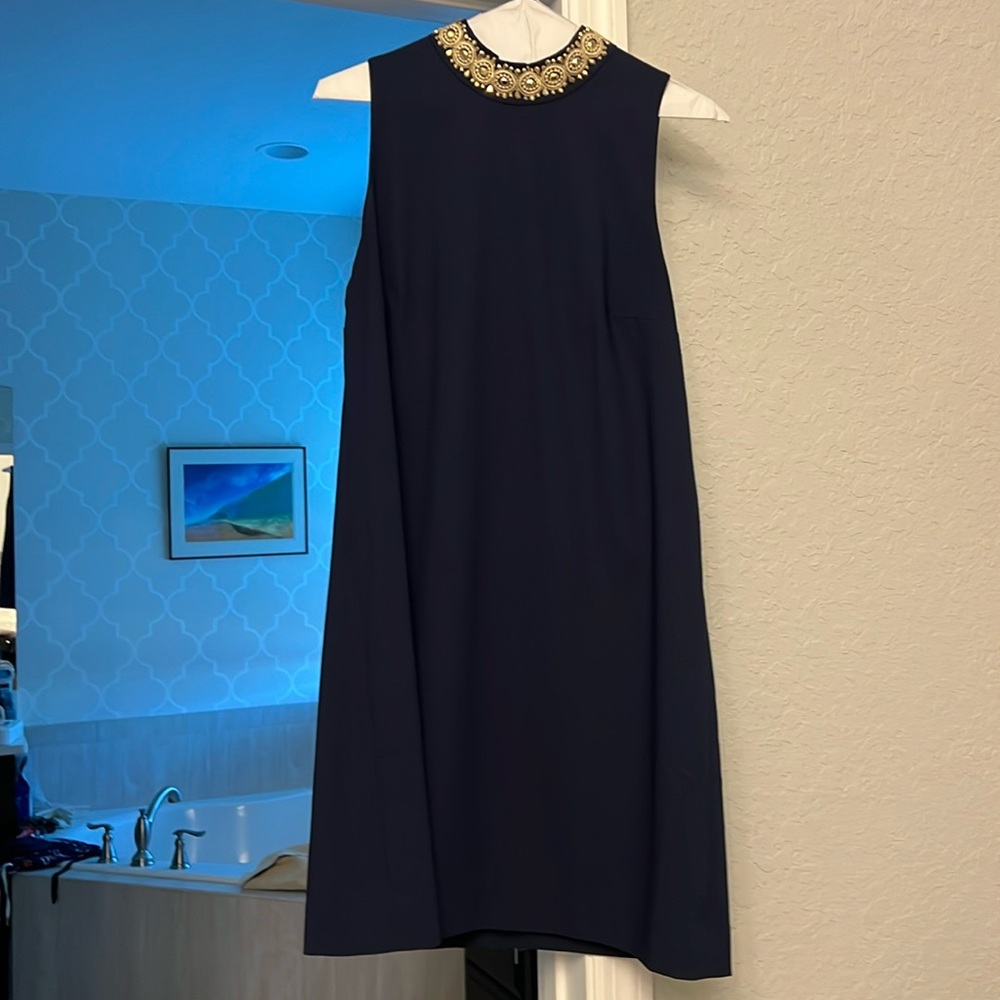 Gorgeous holiday Lilly dress